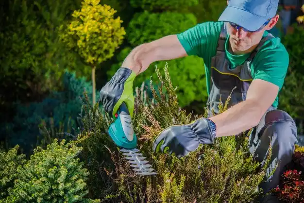 landscaping services Lake Ronkonkoma